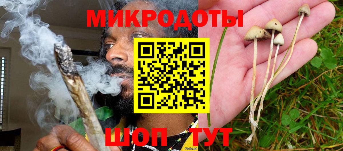Псилоцибиновые грибы мухоморы Советск