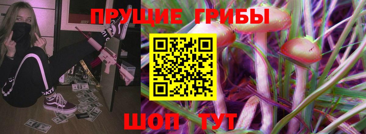 Галлюциногенные грибы Cubensis  Вход с VPN  Советск 